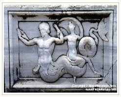 Slider image (10) Revitalize in Turkey